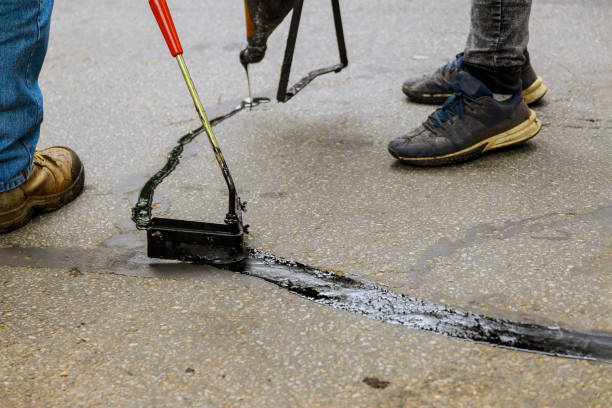 Best Driveway Pressure Washing  in Balch Springs, TX